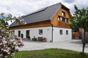 Apartment in Mariapfarr with sauna